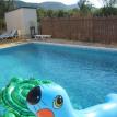 Pool Toys